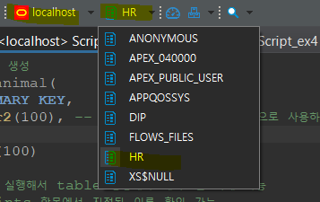 DBeaver Oracle 9.png