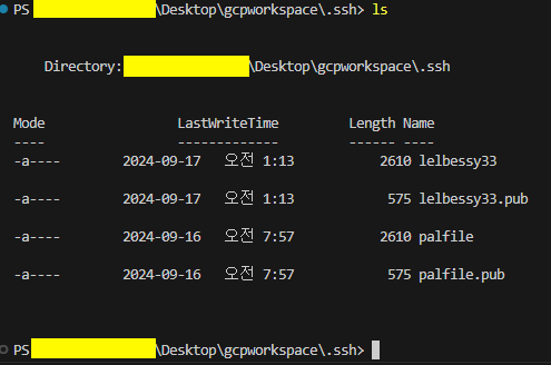 gcpssh 6.png