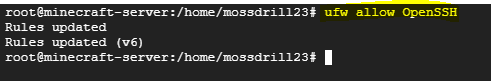 googlecloud_mc 24.png