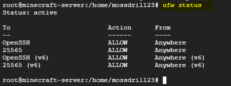 googlecloud_mc 27.png