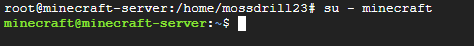 googlecloud_mc 30.png