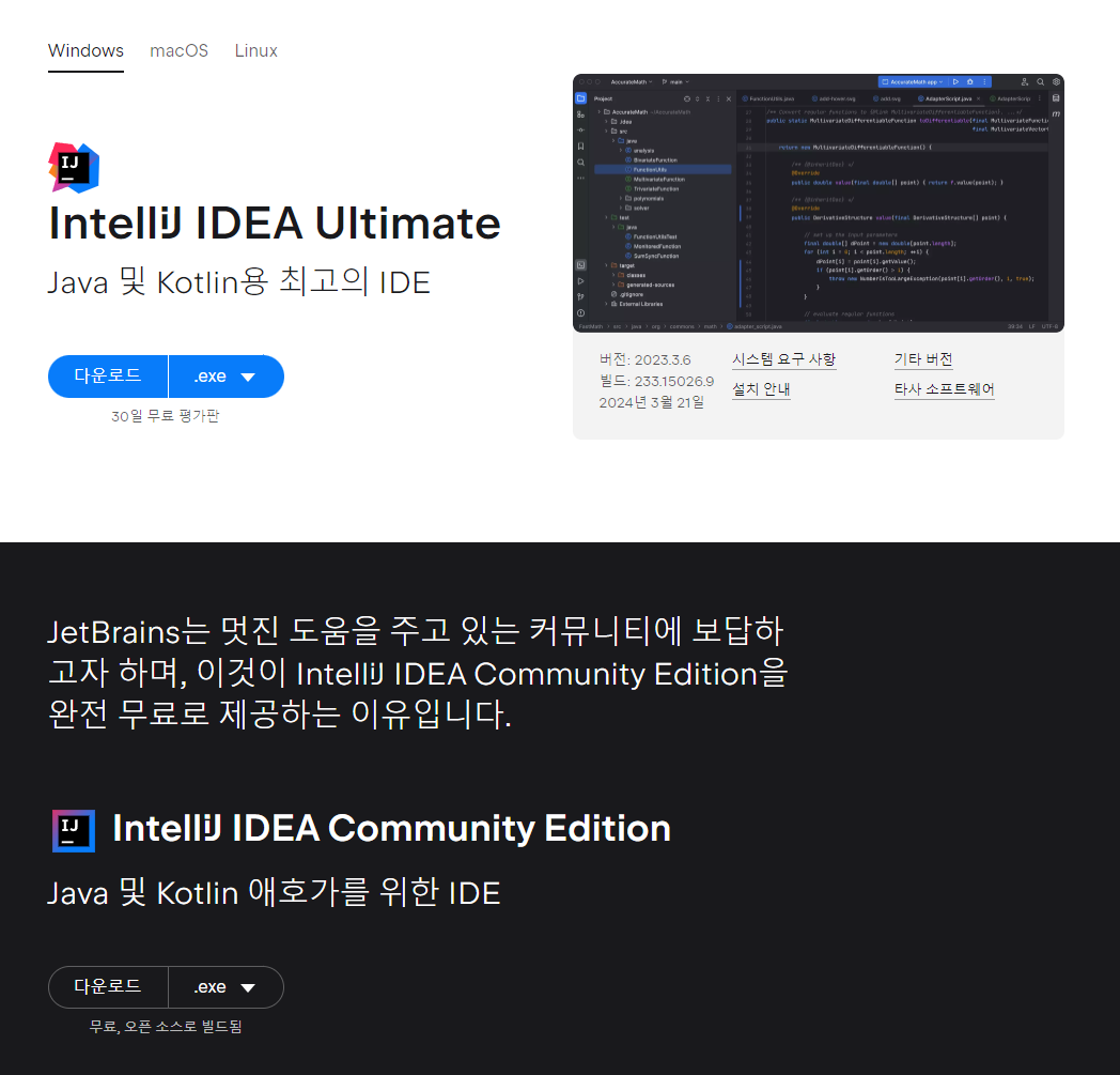 intelliJ 1.png