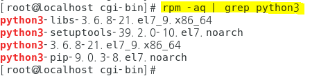python 1.png
