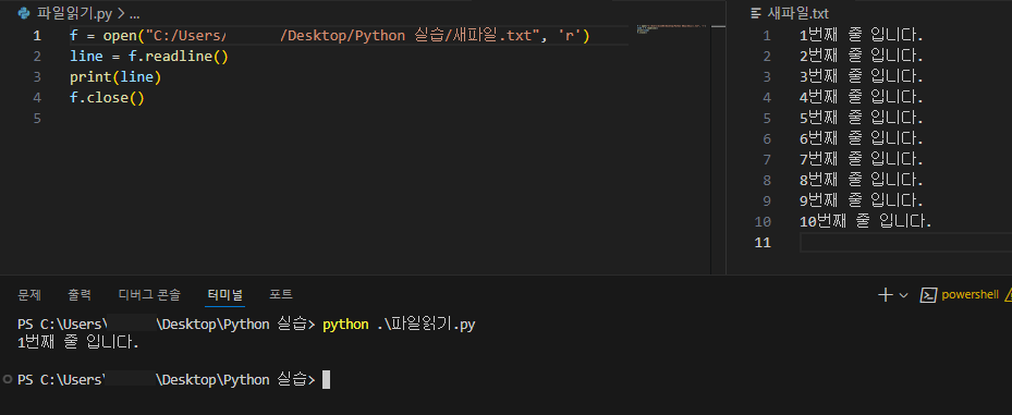 python_file_input 3.png