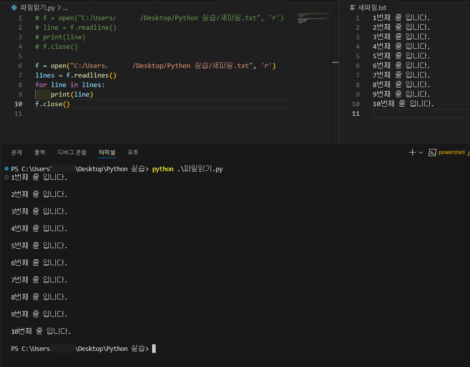 python_file_input 4.png