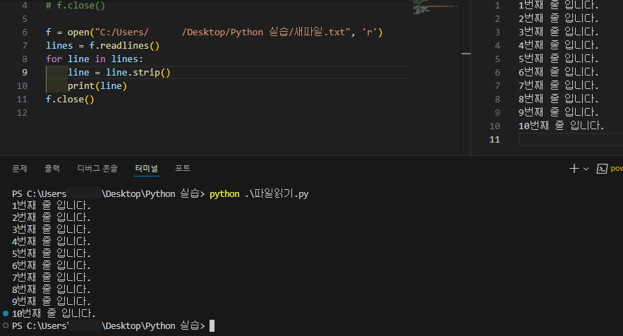 python_file_input 5.png