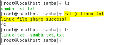 samba 19.png