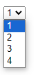 select option.png