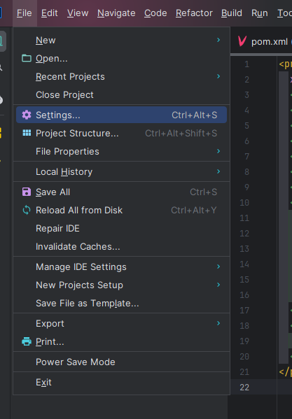 tomcat_intellij 2.png