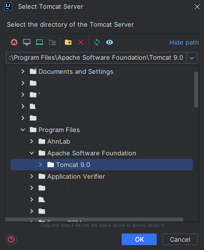 tomcat_intellij 8.png